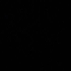 Meet your Posher, Jae